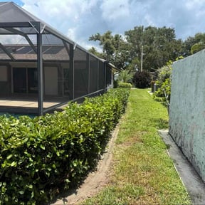 Bush Trimming by Achieving the dream llc reviewed on August 8, 2025