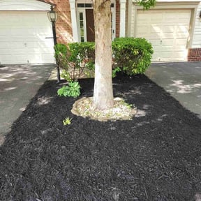 Mulching by Balderas lawn care LLC reviewed on June 7, 2022