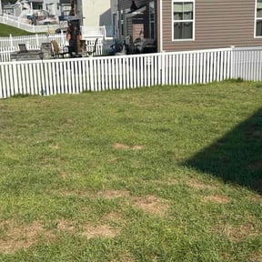 Cleanups by S.B.B LANDSCAPING reviewed on October 21, 2022