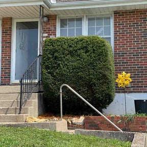 Flower Bed Weeding by TELawns reviewed on September 16, 2020
