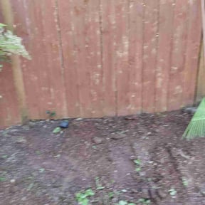 Cleanups by Complete Lawn Care reviewed on November 25, 2024