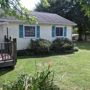 Bush Trimming by R&M lawncare reviewed on July 12, 2022