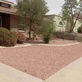 Leaf Removal by 26 Palms reviewed on August 7, 2022