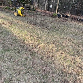 Leaf Removal by GetYarded reviewed on July 22, 2022