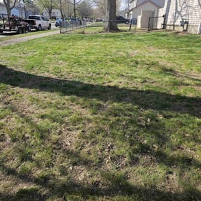 Cleanups by Reil Lawn Company LLC reviewed on April 28, 2022