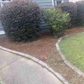Weeding by Superior Landscape Surgeon reviewed on October 5, 2024