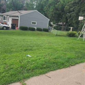 Cleanups by Green Leaf Lawn Service reviewed on November 12, 2024