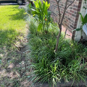 Bush Trimming by Tovar Landscaping reviewed on March 14, 2025