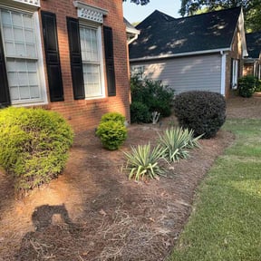 Bush Trimming by Arrington’s Cleaning LLC reviewed on August 3, 2025