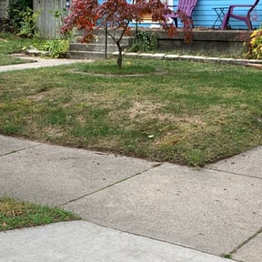 Leaf Removal by Torrens landscaping reviewed on June 1, 2022