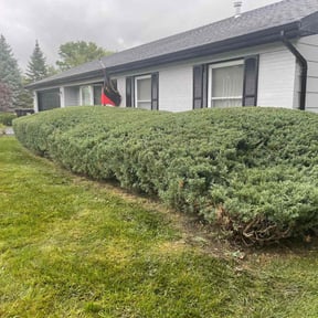 Bush Trimming by T & S Lawn Care Services reviewed on March 25, 2022