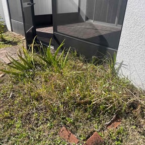 Bush Trimming by CV LAWN MAINTENANCE LLC reviewed on March 25, 2022