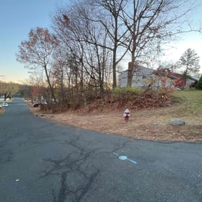 Leaf Removal by Chuyin's Lawn Care LLC reviewed on May 9, 2022