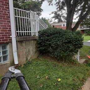 Bush Trimming by Lisa James Contracting LLC reviewed on September 12, 2024