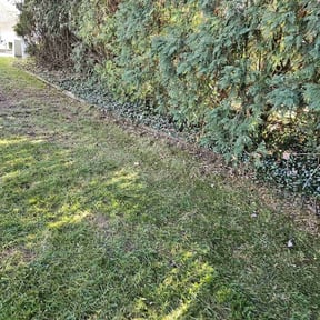 Cleanups by Twins lawn care reviewed on June 30, 2025