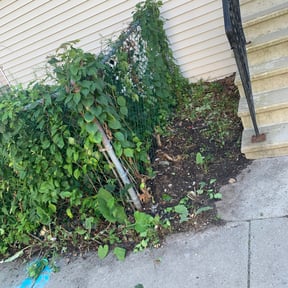 Cleanups by Full Circle Lawn & Landscape reviewed on July 26, 2022