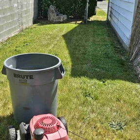 Cleanups by Vertical Lawn Care reviewed on December 10, 2024