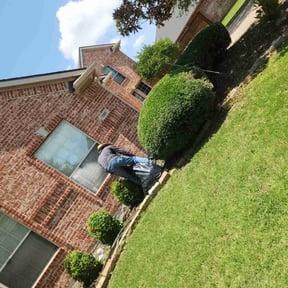 Bush Trimming by R&A landscaping reviewed on June 22, 2022