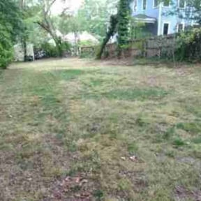 Leaf Removal by Midwest Ecoscapes reviewed on May 27, 2022