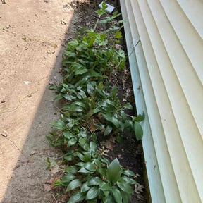 Leaf Removal by H & S Lawn Service. reviewed on August 8, 2022