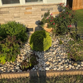 Flower Bed Weeding by Nycstro LLC reviewed on June 30, 2022