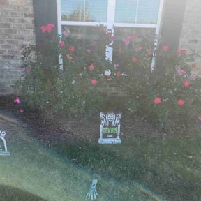 Flower Bed Weeding by Loveladys Lawn Care reviewed on November 23, 2024