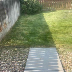Cleanups by Team Bard Lawn Care SVC reviewed on May 11, 2022