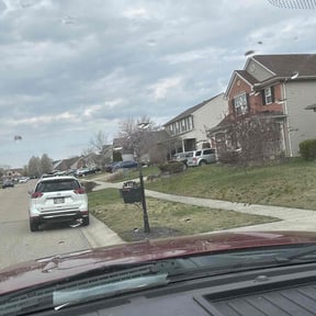 Bush Trimming by Lutz Lawn Care reviewed on November 20, 2021