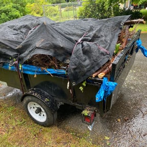 Cleanups by 66landscaping LLC reviewed on June 4, 2022