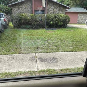 Bush Trimming by Sunnyside Lawn care reviewed on August 2, 2025