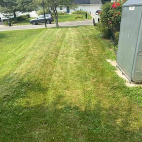 Bush Trimming by A1 America  Landscaping reviewed on October 17, 2024