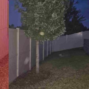 Bush Trimming by C.A. Lawnservices reviewed on July 15, 2022