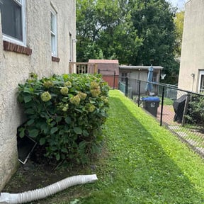 Bush Trimming by Miller lawn Techs reviewed on July 1, 2022