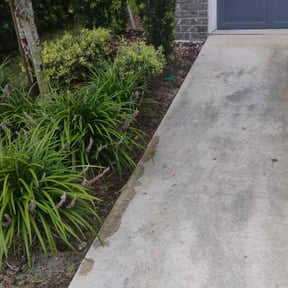 Flower Bed Weeding by Pink Pearl Landscaping reviewed on July 31, 2025