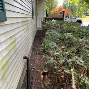 Bush Trimming by Woods Property PreservationLLC reviewed on May 25, 2022