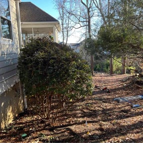 Bush Trimming by Ron's lawn care reviewed on August 9, 2022