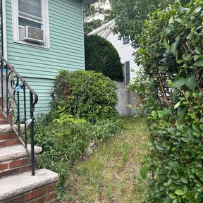 Bush Trimming by Right Lawn Care reviewed on May 29, 2022