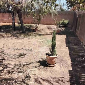 Leaf Removal by Guillen Lawn Care reviewed on March 25, 2025
