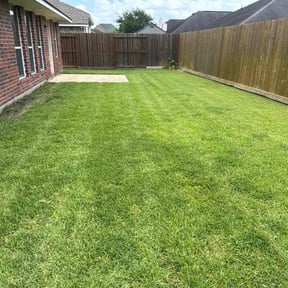 Lawn Seeding by Hector's reviewed on July 19, 2022