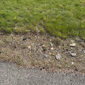Leaf Removal by JJ Lawn and Tree Trimming reviewed on June 3, 2020