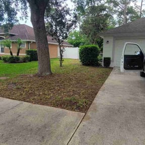 Leaf Removal by County Line Services reviewed on July 6, 2022
