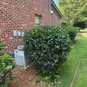 Bush Trimming by Andrew flores lawn service reviewed on November 3, 2022