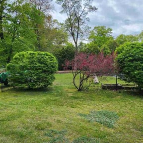 Leaf Removal by Deshun Walker Inc reviewed on May 9, 2022