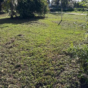 Cleanups by WhaleyScapes lawn services reviewed on May 27, 2022
