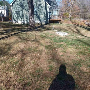 Leaf Removal by Lee's father's& sons loc reviewed on July 8, 2022