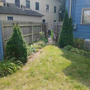 Bush Trimming by United Hands Royalty Lawn Care reviewed on October 30, 2024