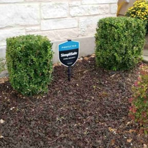 Bush Trimming by Texas Services SA reviewed on February 26, 2025