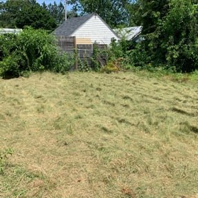 Cleanups by Cody Prescher reviewed on June 21, 2022