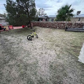 Weeding by LSLTDallas/FortWorthTruGreen reviewed on August 19, 2024