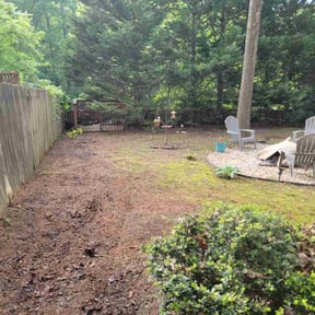 Leaf Removal by Keep It Cut Lawn Services reviewed on March 25, 2025